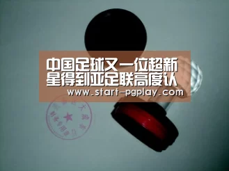 pg电子试玩