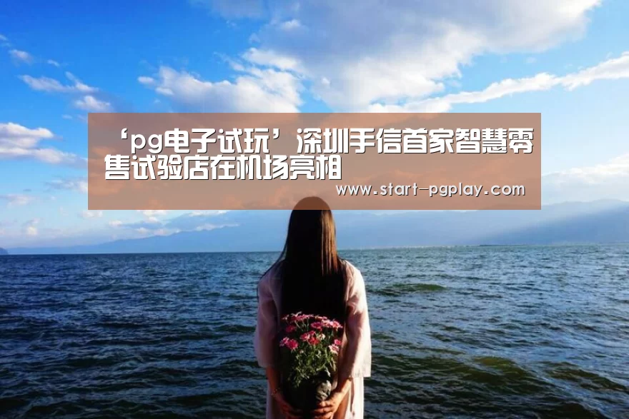 pg模拟器