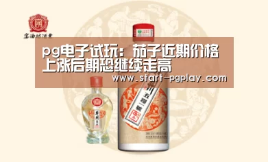 pg模拟器