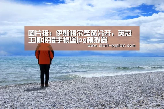 pg模拟器