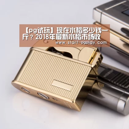 pg电子模拟器导航