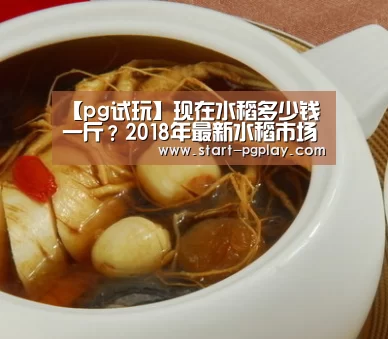 pg电子模拟器导航
