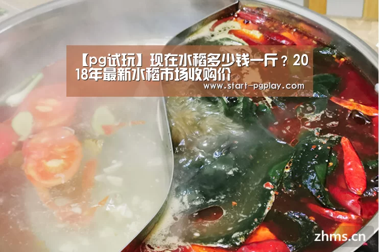 pg模拟器