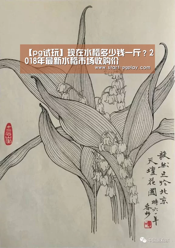 pg模拟器