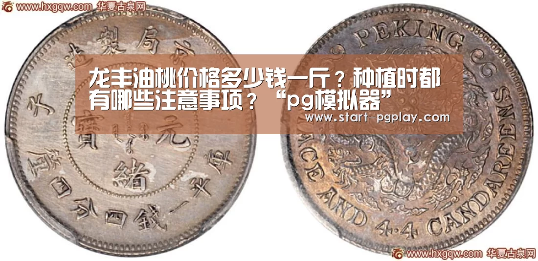 pg模拟器