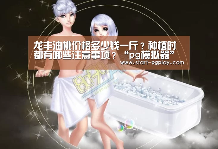 pg模拟器