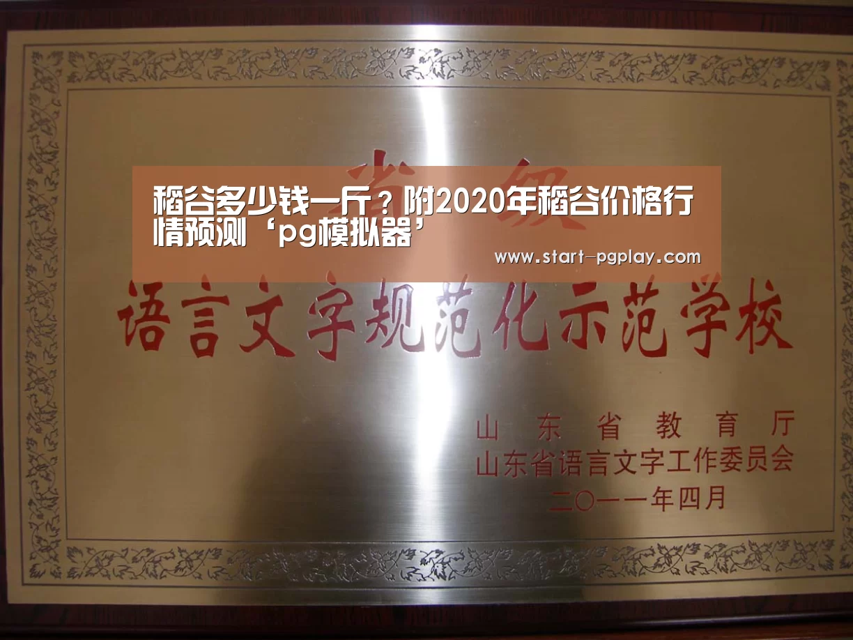 pg模拟器