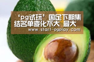 pg电子试玩