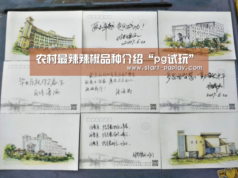 pg模拟器
