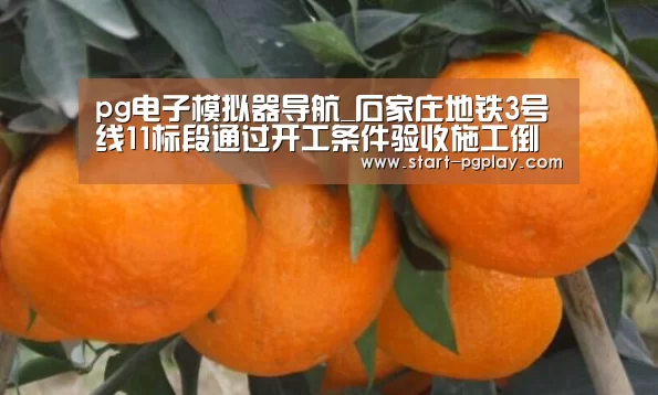 pg电子模拟器导航
