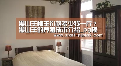 pg电子试玩