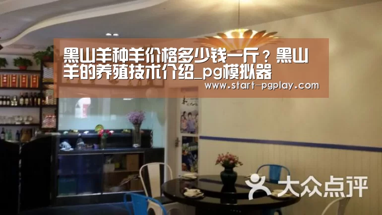 pg电子模拟器导航