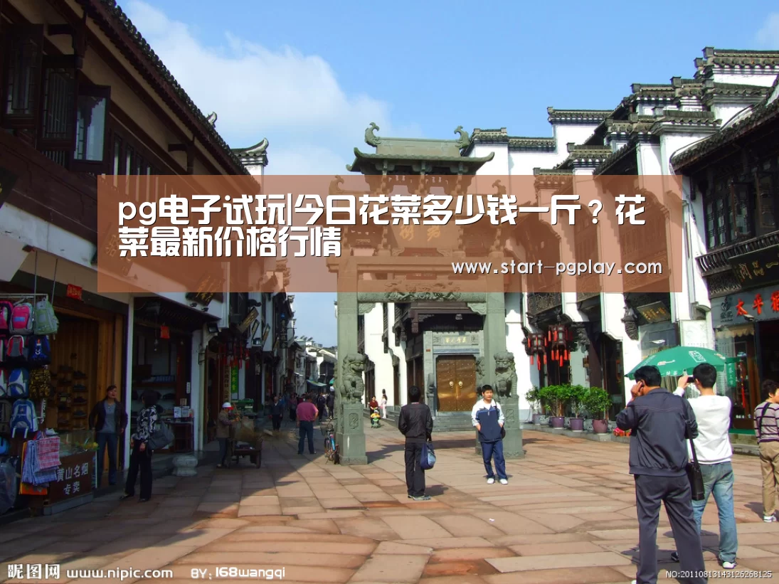 pg电子试玩