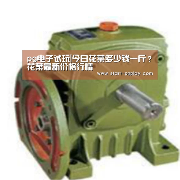 pg模拟器