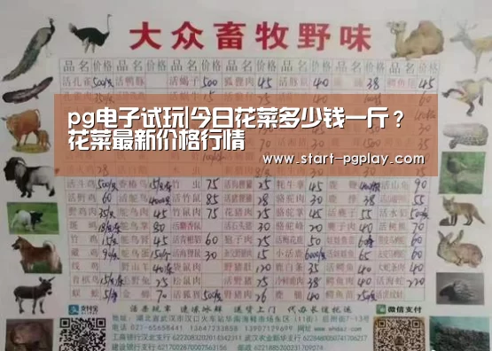 pg电子模拟器导航