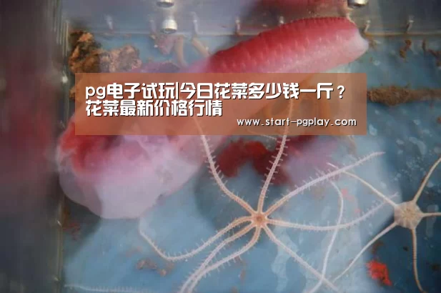 pg模拟器