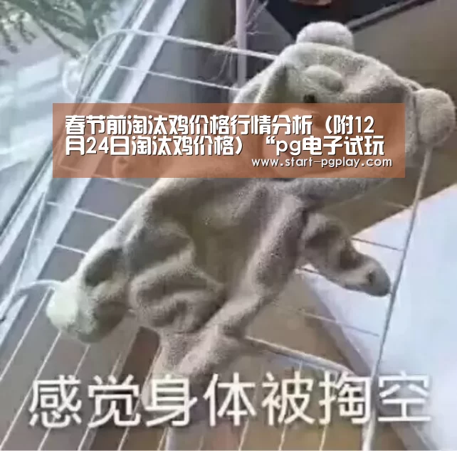 pg试玩
