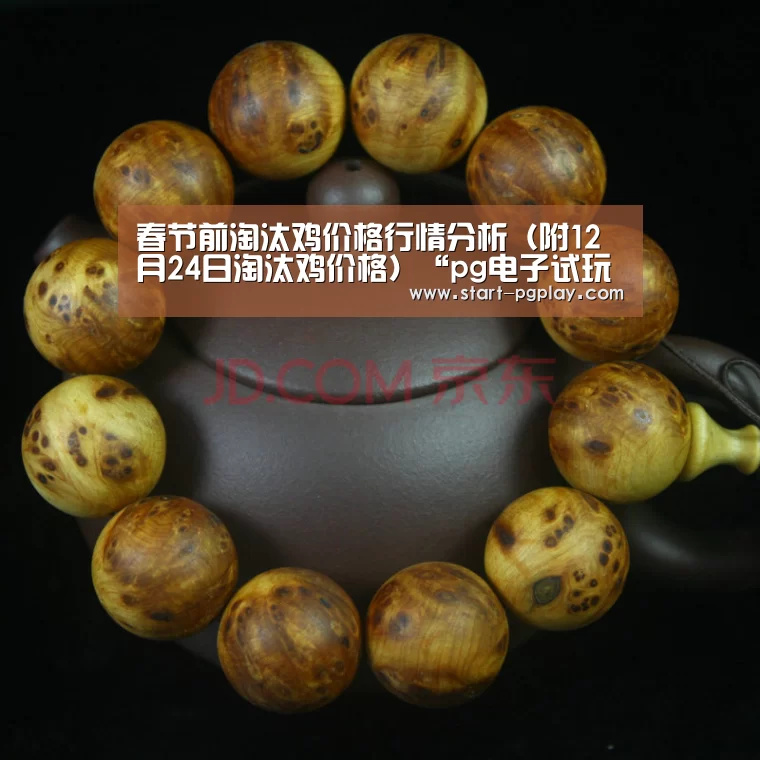 pg模拟器