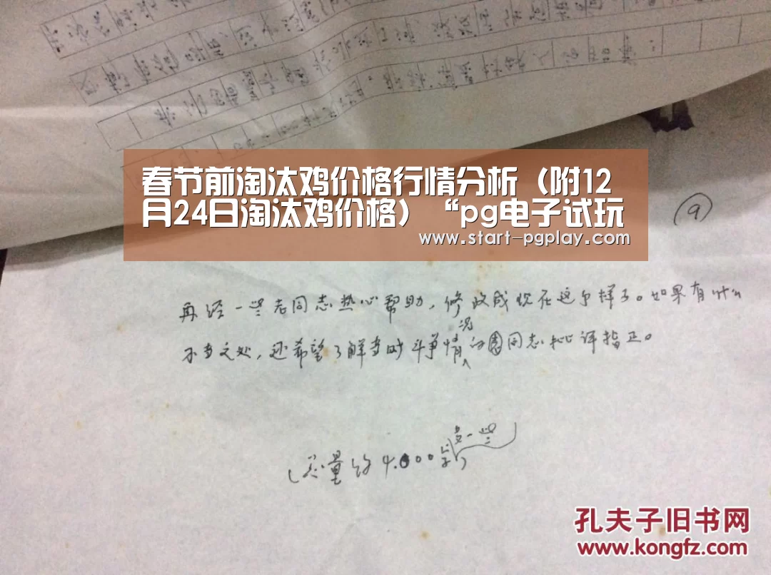 pg模拟器