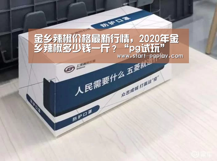 pg试玩